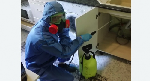 Уничтожение муравьев в квартире. Жостово