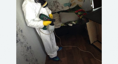 Обработка квартир от насекомых в Жостово