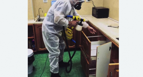 Дезинсекция квартиры. Жостово