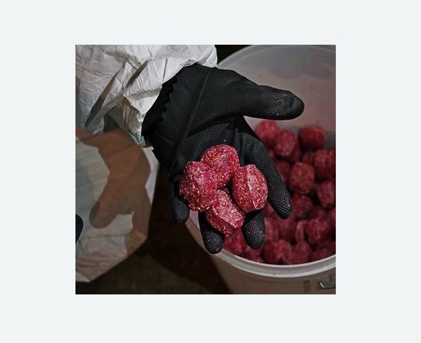 Обработка от крыс в Жостово