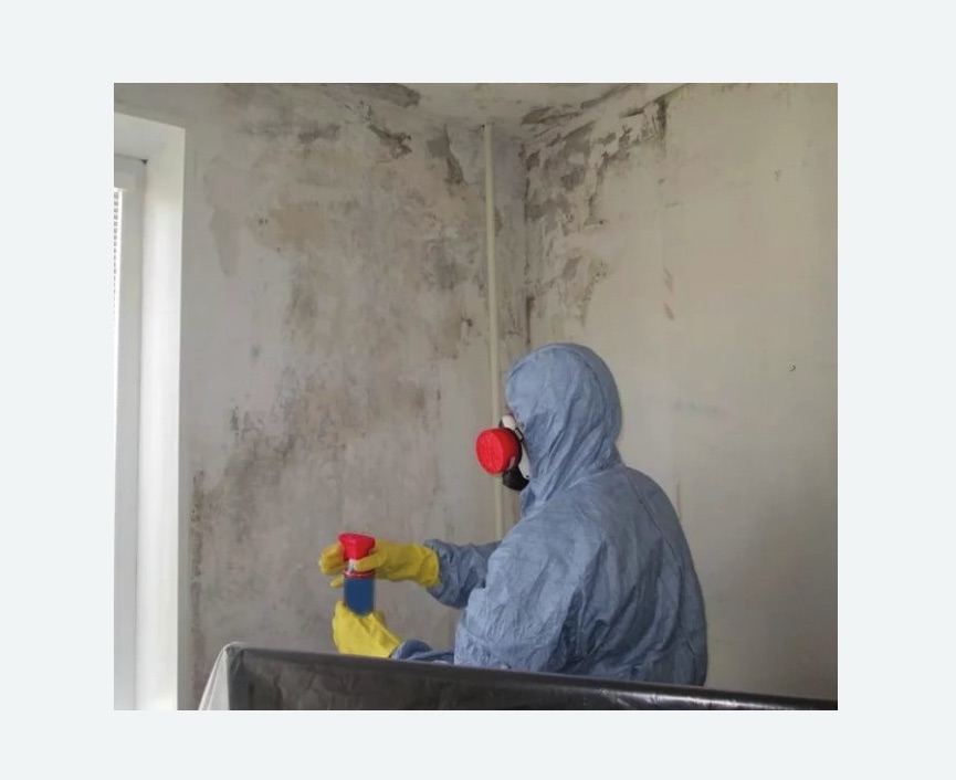 Удаление плесени в квартире в Жостово