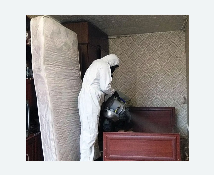 дезинфекция от клопов в Жостово