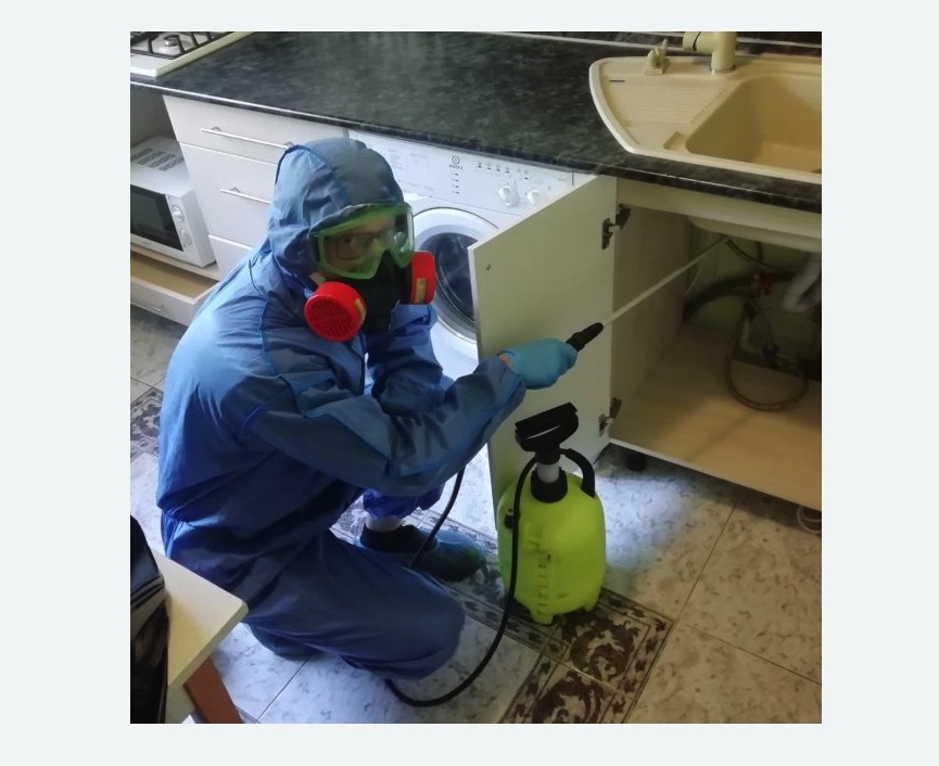 обработка от муравьев в квартире в Жостово