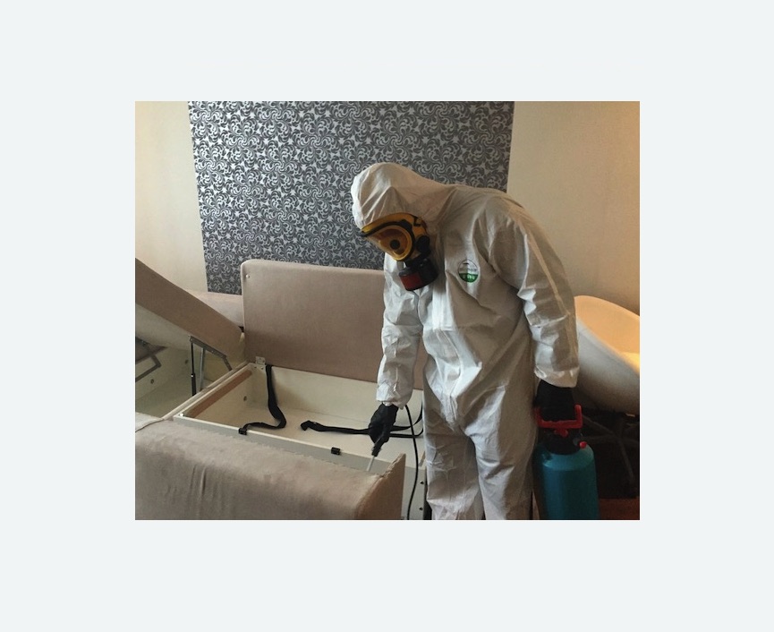 уничтожение клопов в квартире в Жостово